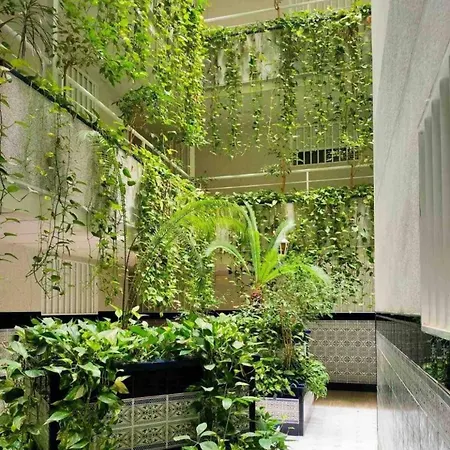 Mel Del Sol Torrevieja