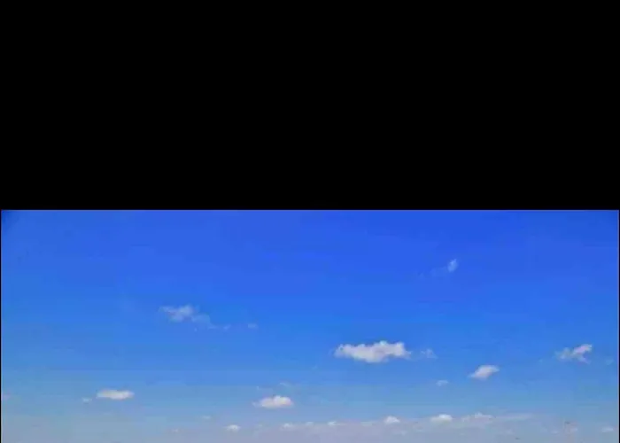 Mel Del Sol Torrevieja