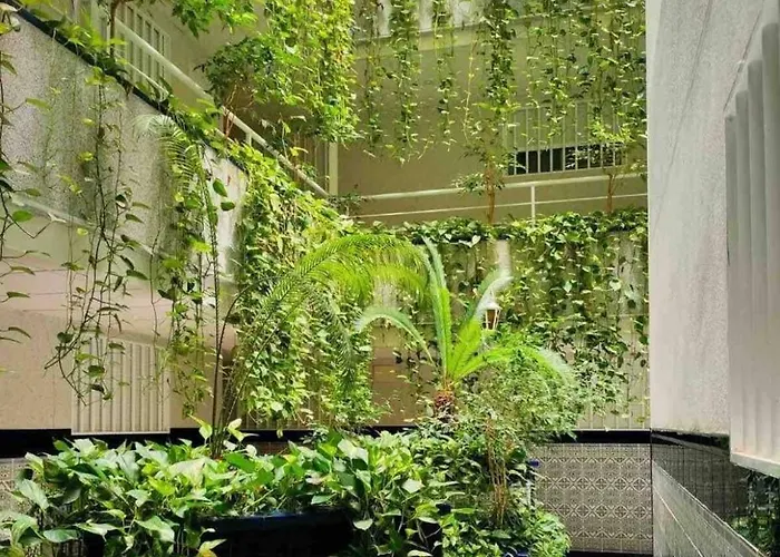 Mel Del Sol Torrevieja